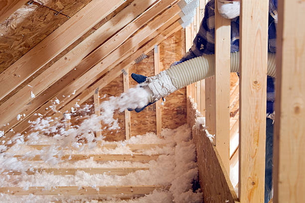 Best Wall Insulation Installation  in USA